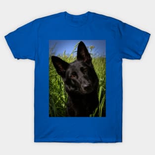 Black german shepherd T-Shirt